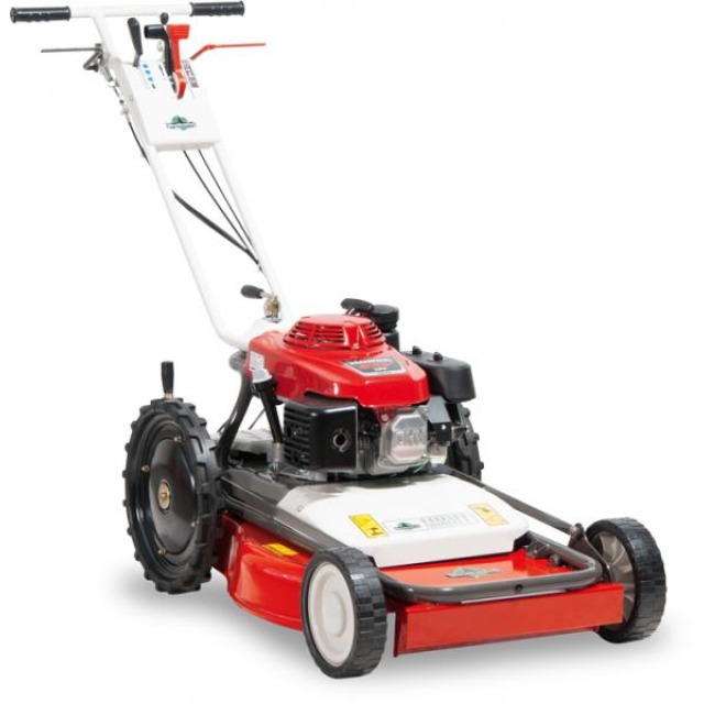 articleImage-imageName-22577