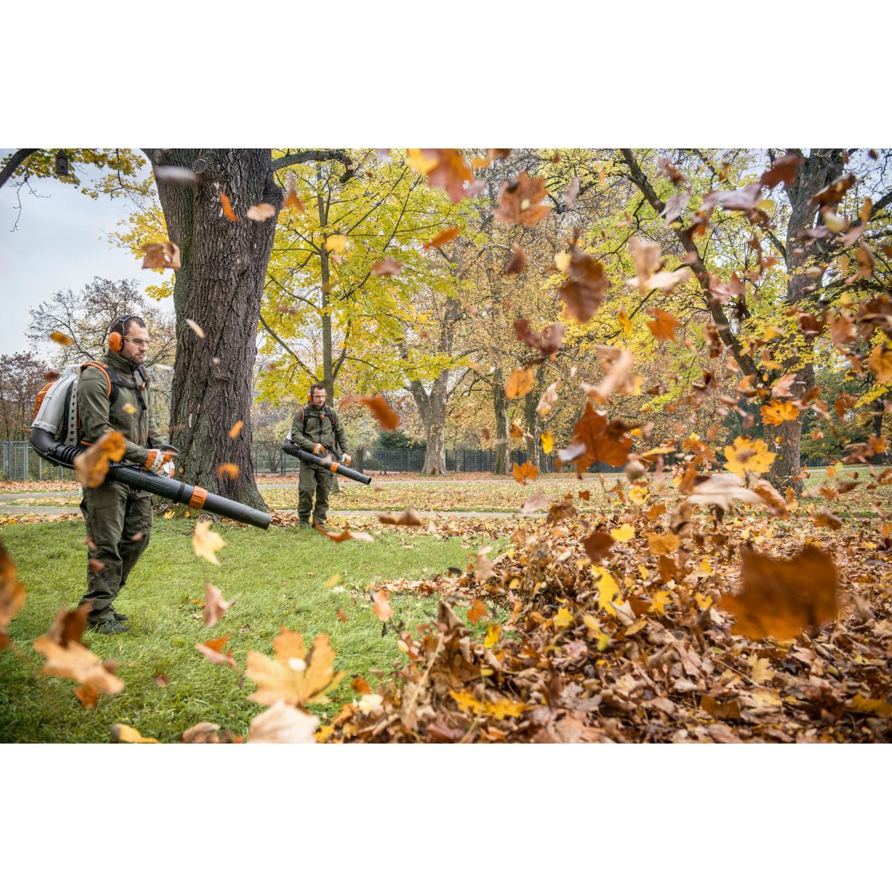 100010845 Laubbläser BR 800 C-E